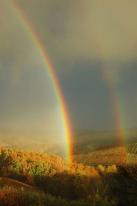 doppelter Regenbogen