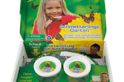 Schmetterlings-Garten-Set