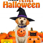Kinerfilm: EIn Hund rettet Halloween
