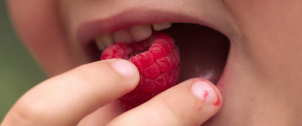 Die Zahngesundheit ist besonders bei Kindern wichtig, um dauerhafz gute Zähne zu haben (Foto: mkron/pixabay).